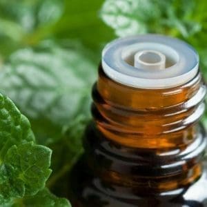 doterra peppermint
