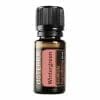 doterra wintergreen