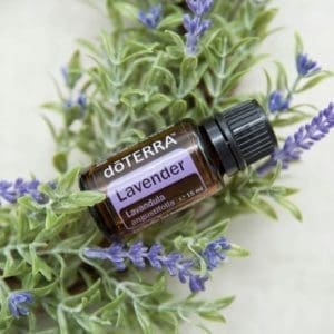 lavendel olie