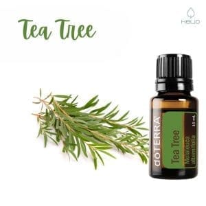 doterra teatree