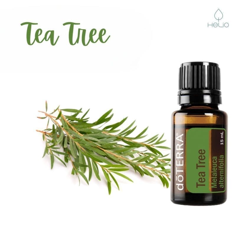 doterra teatree