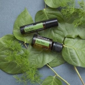 teatree inwendig gebruik