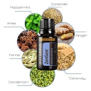 spijsvertering blend