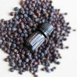 doterra juniper berry