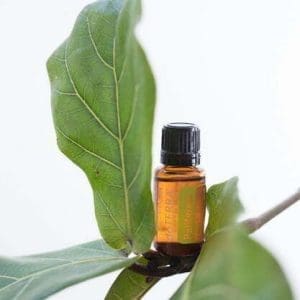 doterra petitgrain