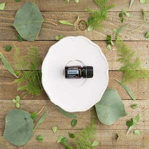 doterra spikenard