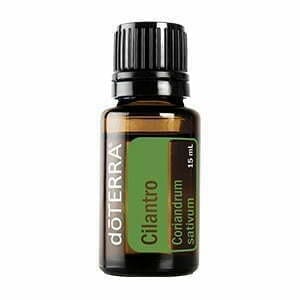 doterra cilantro