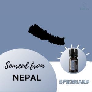 spikenard doterra