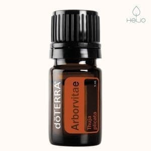 doterra arborvitae