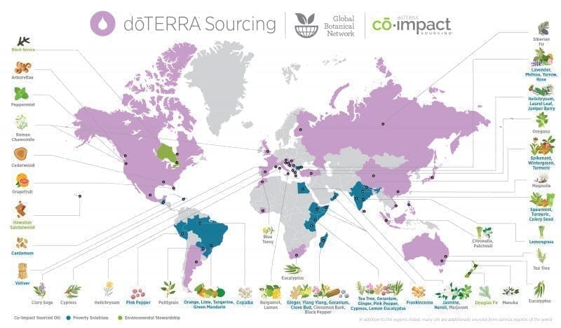 doterra olie