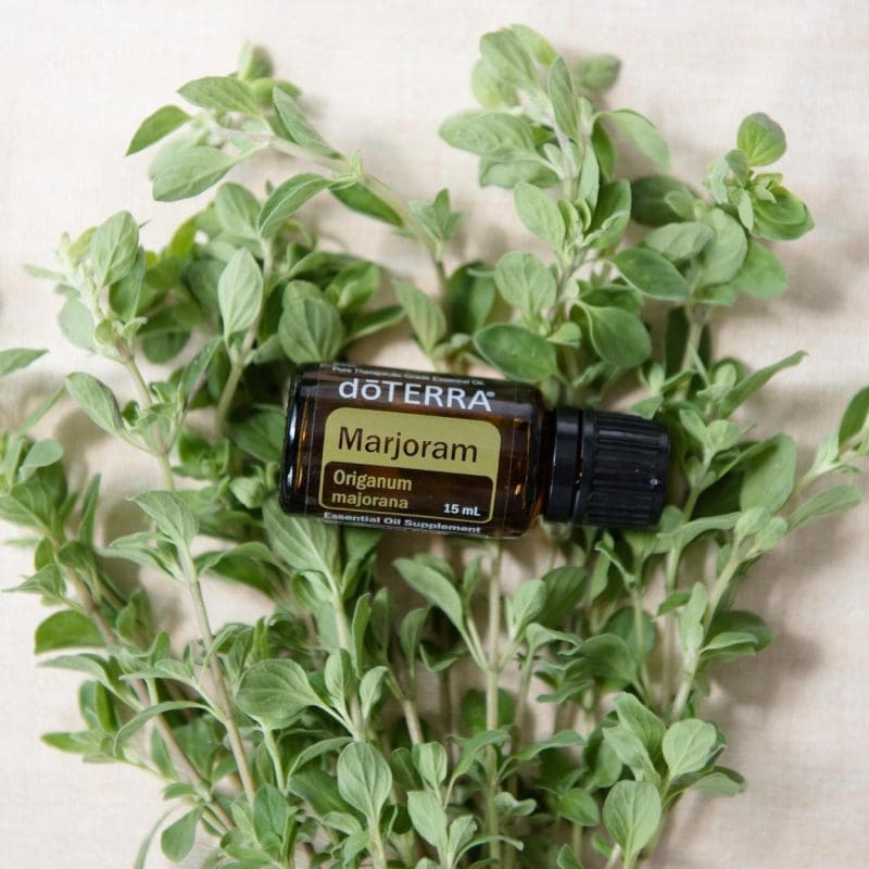 doterra marjoram
