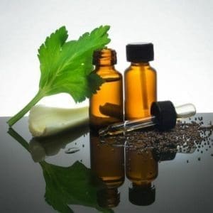 doterra selderij