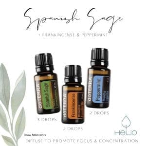 spanish sage