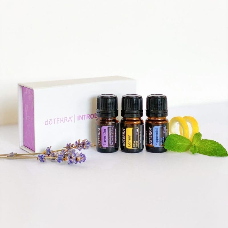 Introductory Kit