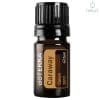 doterra caraway