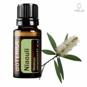 doterra niaouli