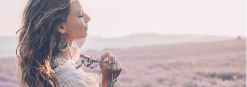 doterra blogger