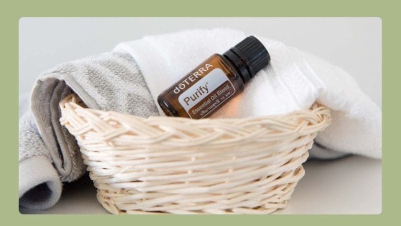 doterra bogo purify