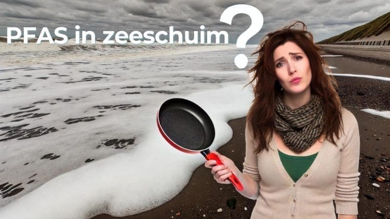 PFAS in zeeschuim