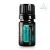 doterra island mint