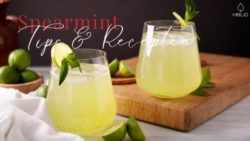 spearmint tips en recepten