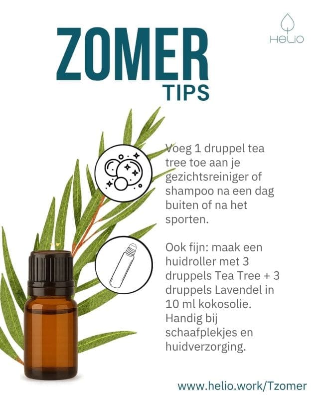 doterra teatree tips