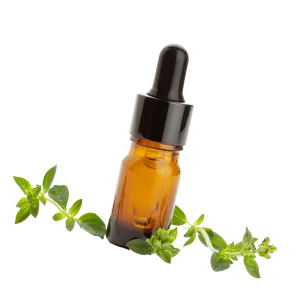 workshop vetiver